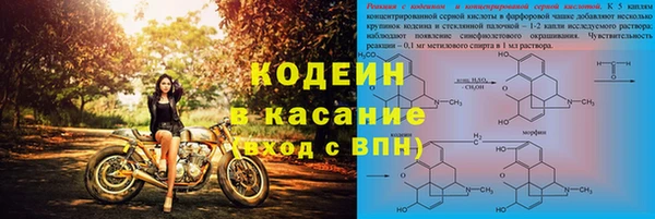 ГАЛЛЮЦИНОГЕННЫЕ ГРИБЫ Болотное