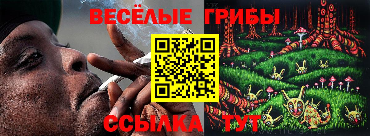 Галлюциногенные грибы MAGIC MUSHROOMS Усинск